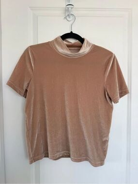 Madewell Velvet Short Sleeve Tee in Blush